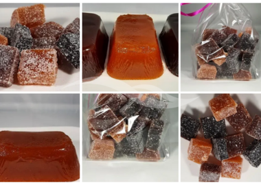 Transformation et conservation de fruits & vente