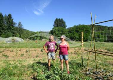 Exploitation Maraîchage BIO en Permaculture