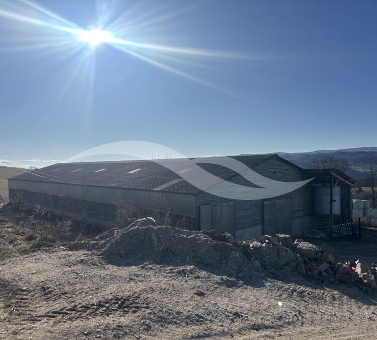 S0150 | Elevage bovins viande - Recherche associé en GAEC