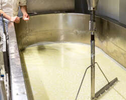 Laiterie – Fromagerie de montagne Laiterie – Fromagerie de montagne