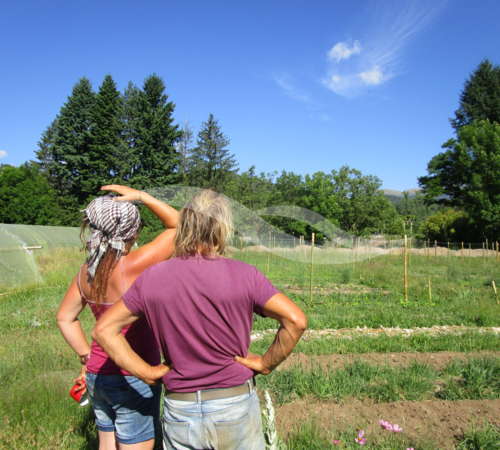 img-5377-60dae9c900962630607538.jpg | 4
